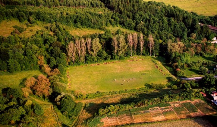 5. fotografia fotogalérie Súčasnosť